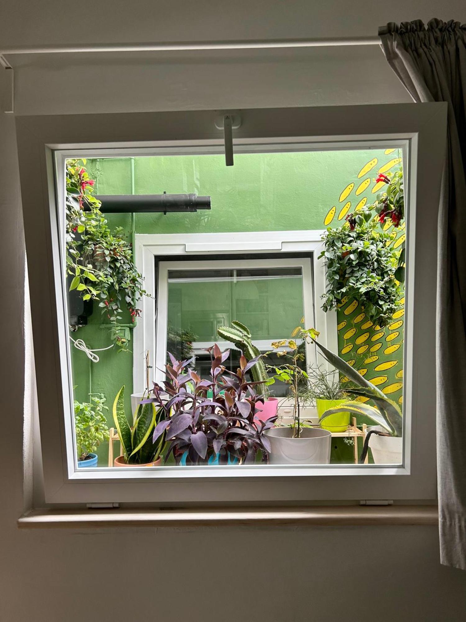 Ferienwohnung Perro Y Osito Garachico  Exterior foto