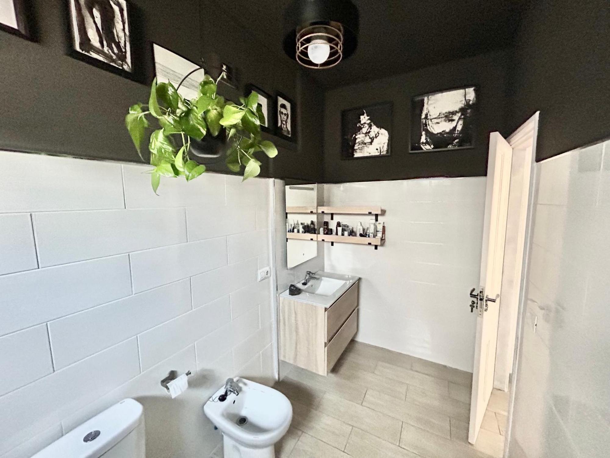 Ferienwohnung Perro Y Osito Garachico  Exterior foto