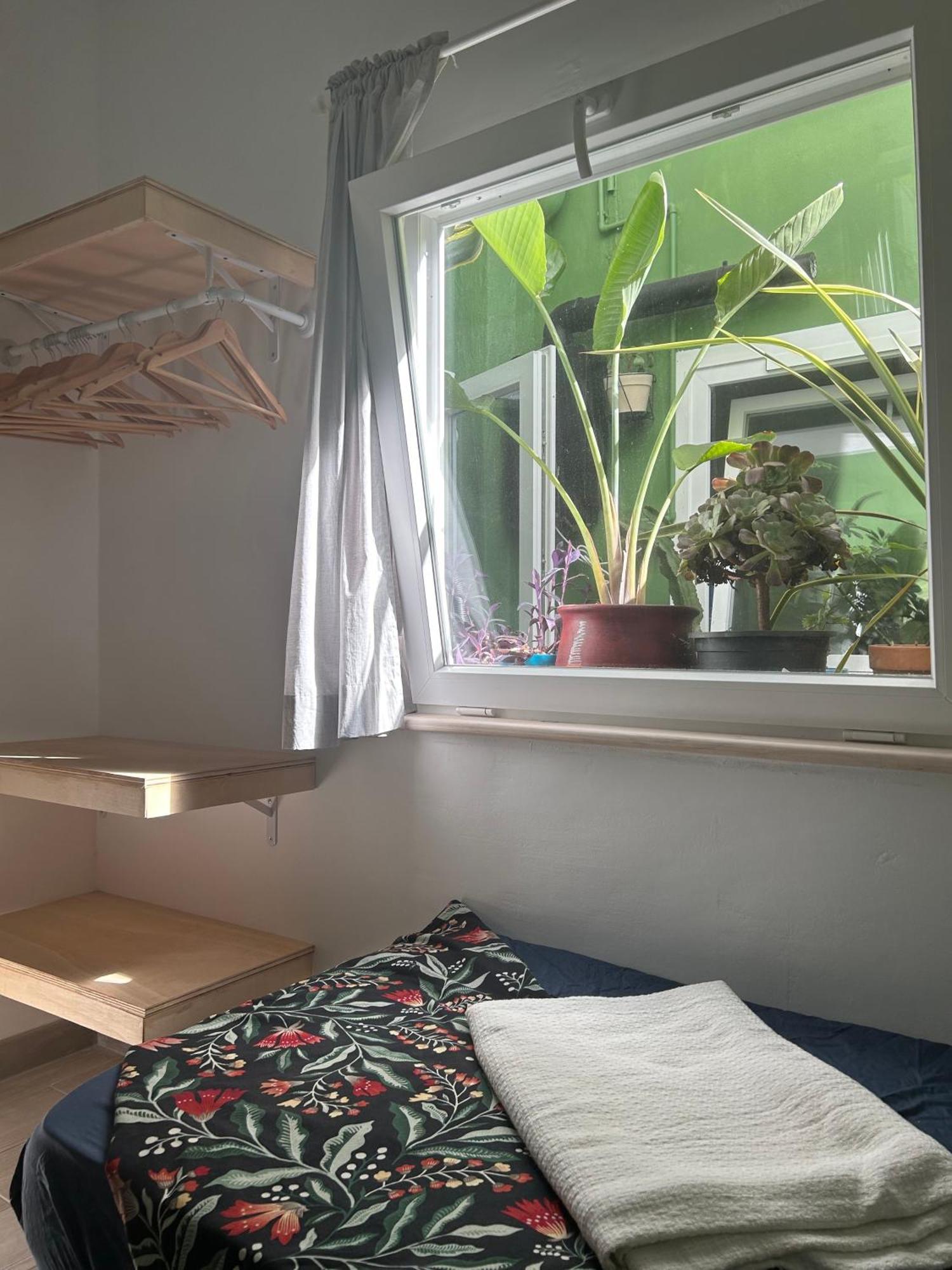 Ferienwohnung Perro Y Osito Garachico  Exterior foto